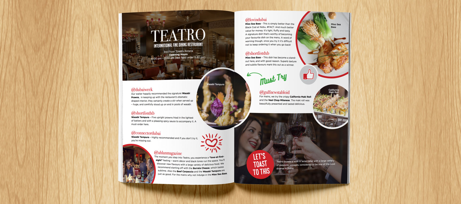 Branding and graphics design guide